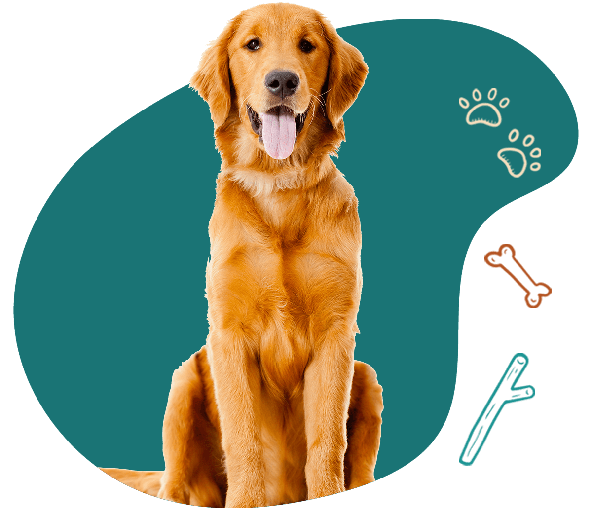 Happy Healthy Dog Training | Puppy Training In West Valley