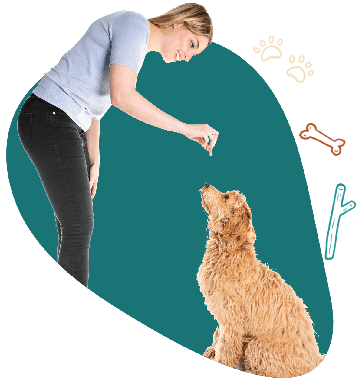 Affordable Dog Puppy Training Salt Lake CityWest Valley